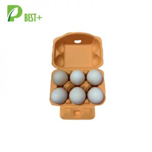 Orange Egg Tray Factory 338