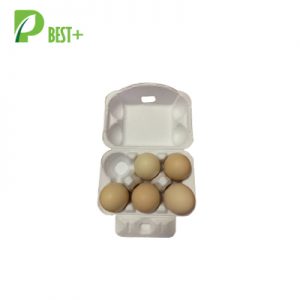 White 6 Eggs Carton 337