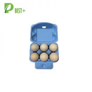 Blue Egg Tray Factory