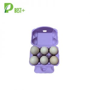 Purple Color Egg Carton 340