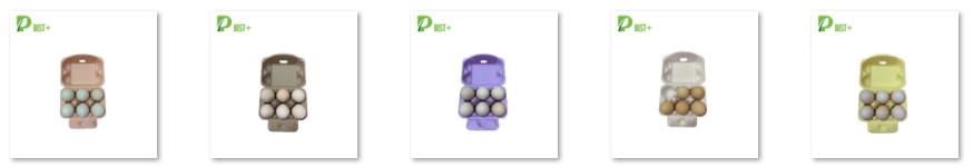 China Best Egg Packs Factory