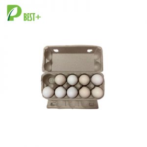 10 cells Egg Carton