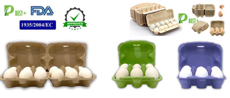 Fiber Egg Cartons Manufacturer – Pulp Packaging Manufacturer Pulp Egg ...