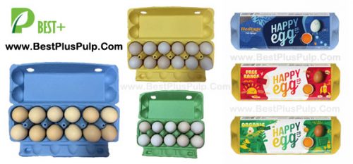 Egg cartons With Label – Pulp Packaging Manufacturer Pulp Egg Cartons ...