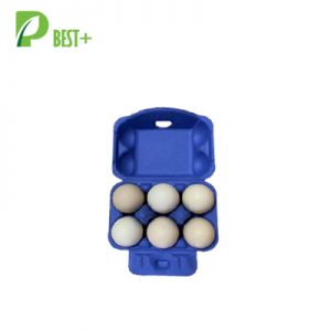 Bright Blue Egg Carton Factory