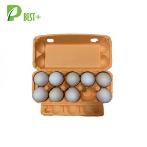 Orange 10 Egg Carton 358